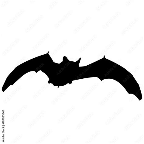 Vampire bat Silhouette Vector Graphics Stock Vector | Adobe Stock