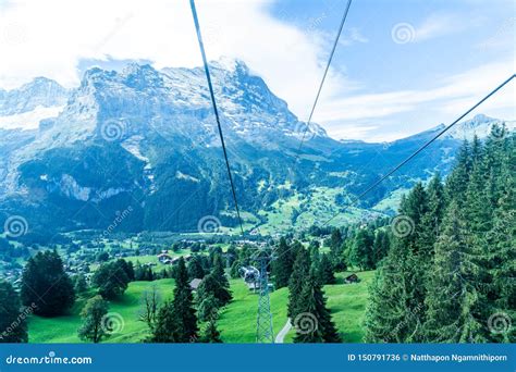 Grindelwald Village View from Cable Car Stock Photo - Image of ...