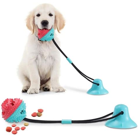 Top 10 Pet Toy Brands Worldwide - Dog Toy & Yoga Mat Manufacturer Since 2001