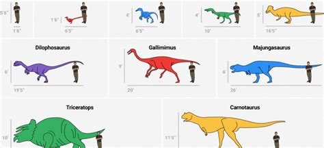 10 Strange Facts About Dinosaurs You Never Knew