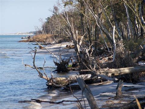 Western Pomerania Lagoon Area National Park - Alchetron, the free ...