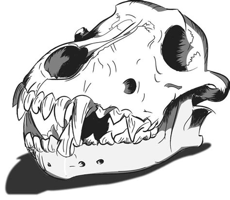 Dog Skull by sergiozagato on DeviantArt