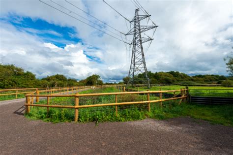 Portbury Wharf Nature Reserve – Upcoming Works and Public Events Update ...