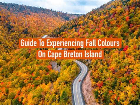 Guide to Experiencing Fall Colours on Cape Breton Island — DAVEY AND SKY