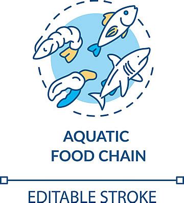 Aquatic Food Chain Energy Flow Marine Life Editable Illustration Vector ...