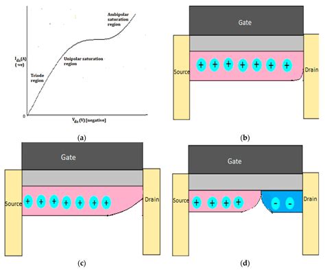 Electronics | Free Full-Text | Equivalent Circuit Modeling of a Dual-Gate Graphene FET