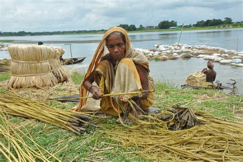 Agriculture Bangladesh - Free photo on Pixabay