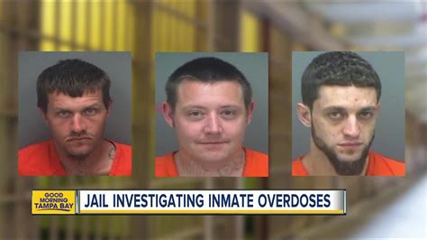 Pinellas Co. jail investigates inmate overdoses