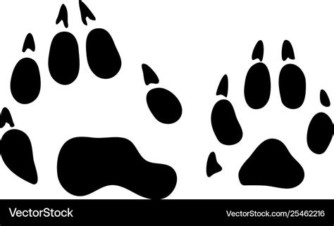 Raccoon Footprints