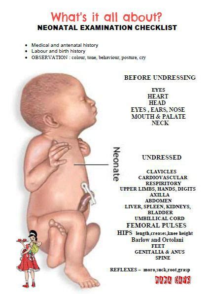 neonatal examination-head to toe hands on. | Neonatal nurse, Newborn ...