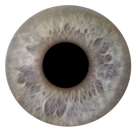 Eye Iris Anica | Iris eye, Iris, Eye photography