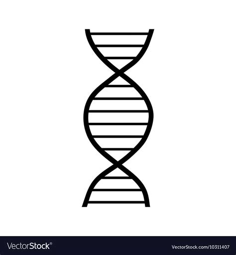 Dna strand icon simple style Royalty Free Vector Image