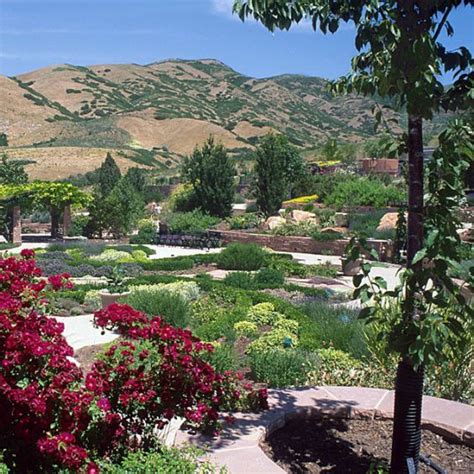 Blossoms at the Boise Botanical Garden peak in May and June. | Gorgeous gardens, Botanical ...