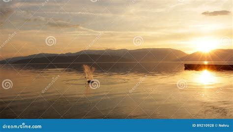 Magnificent Scenery of Sunset Over Lake Prespa in Macedonia Stock Photo ...