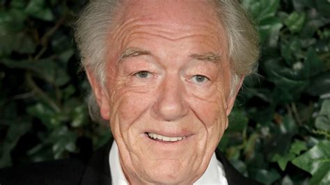 Michael Gambon, Albus Dumbledore in ‘Harry Potter’ Franchise, Has Died ...