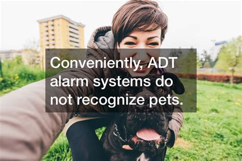 Inside the Features of an ADT Alarm System - Technology Magazine