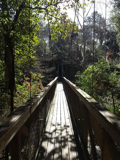 Ravine State Gardens (Palatka, FL): Hours, Address, Top-Rated Hiking Trail Reviews - TripAdvisor ...