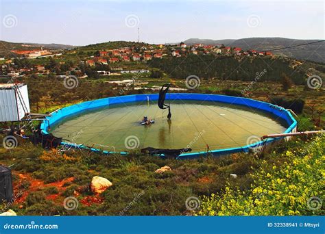 Artificial pond stock image. Image of factory, pond, sunlight - 32338941