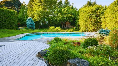 Pool Privacy Ideas: 14 Ways to Create a Secluded Oasis - VEVOR Blog