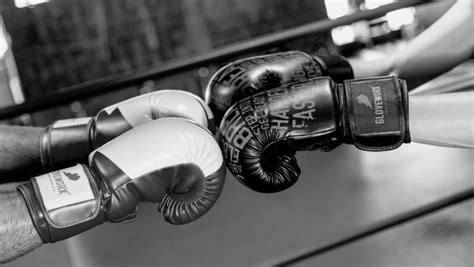 How to Choose the Best Boxing Gloves for Beginners | Gloveworx