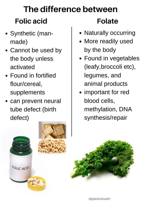 Folate Rich Foods | Folate Benefits | Folic Acid | Functional Medicine ...