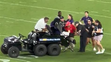 WATCH: Ravens' mascot, Poe, carted off field after halftime football ...