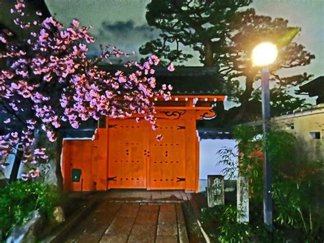 DON'T MISS: Things to do in Gion at night