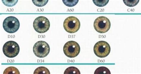 According to this chart, what colour are your eyes? - GirlsAskGuys