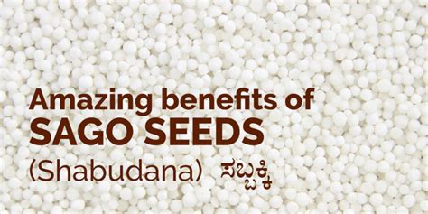 Ayurvedic doctor shares the Benefits of sago seeds - The fasting food - Dr. Brahmanand Nayak