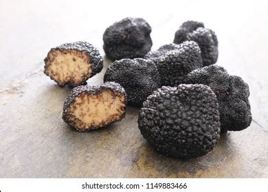 Black périgord truffle Images, Stock Photos & Vectors | Shutterstock