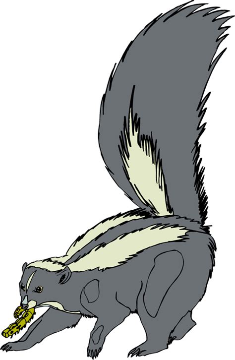 Cute clipart skunk, Picture #860927 cute clipart skunk