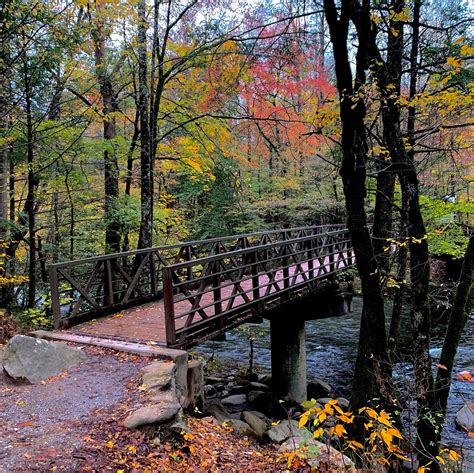 Easy Trails and Walks in the Smoky Mountains