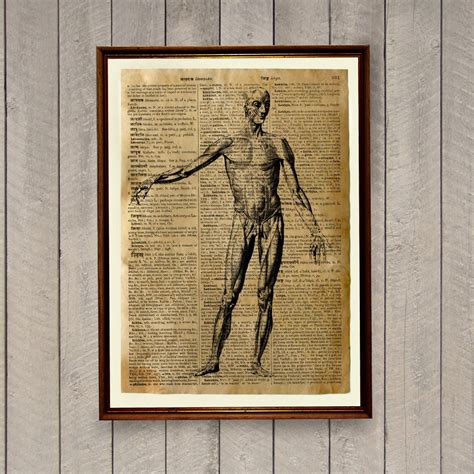 Vintage Human Anatomy Poster