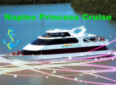 The Naples Princess Cruise at Naples, Florida 2016 | Princess cruise, Cruise, Marco island