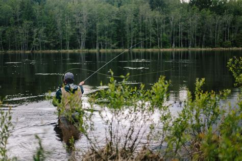 The Beginner's Guide to Fly Fishing - Flylords Mag