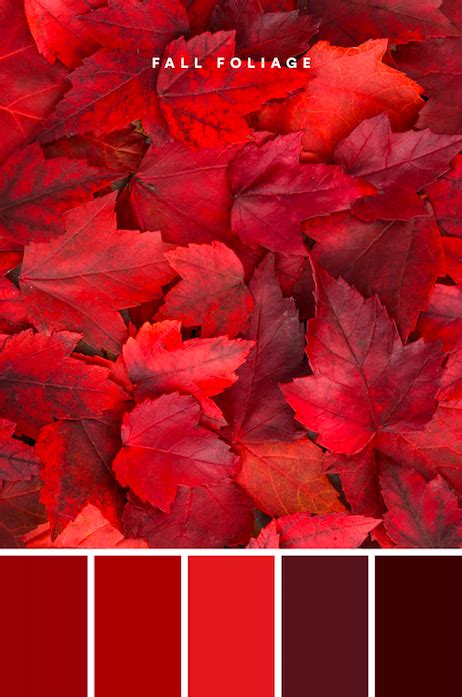 Fall Color Palettes to Warm Up Your Brand | Shades of red color, Red ...