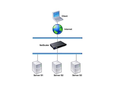 Where does a NetScaler appliance fit in the network?