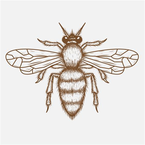 Bee Drawing Vector Art, Icons, and Graphics for Free Download