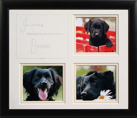 Pet Memorial Frame. Don't even wanna think about it but I like this. Classic looking. | Pet ...