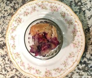 Great-Grandma Approved Vegan Fruit Cobbler - FRAN COSTIGAN