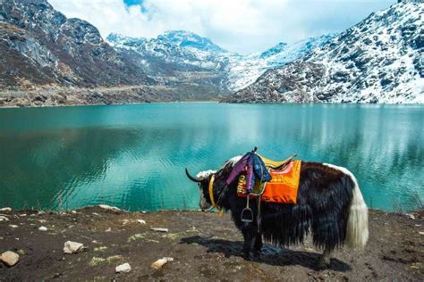 Trekking Trails of Sikkim: A Hiker's Paradise | TechRecur