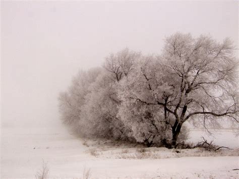 The Bleak Midwinter: Why Sad Music at this Time of the Year? | Christy Thomas