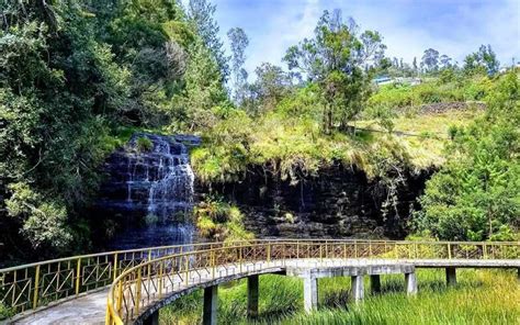 13 Stunning Waterfalls in Kodaikanal You Must Visit (2023)