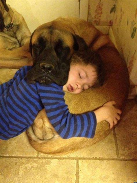 Dogs And Babies Sleeping Are What The World Needs Now | HuffPost