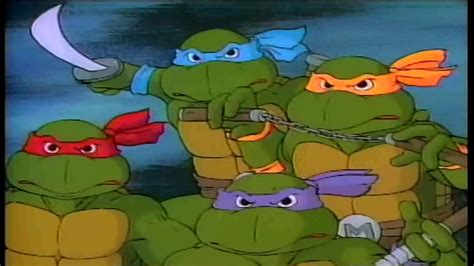 Teenage Mutant Ninja Turtles (1987) Intro in 2020 | Tmnt, Ninja turtles, Teenage mutant ninja ...