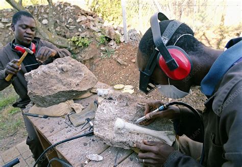 Archaeological excavation - Stock Image - C007/2526 - Science Photo Library