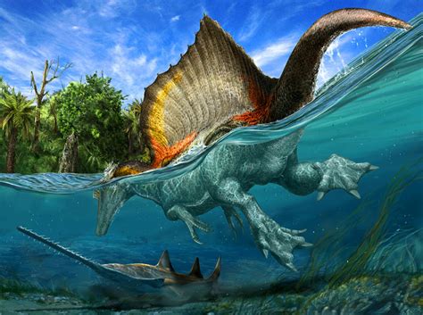 Spinosaurus aegyptiacus Had Aquatic Lifestyle, Fossil Discovery ...