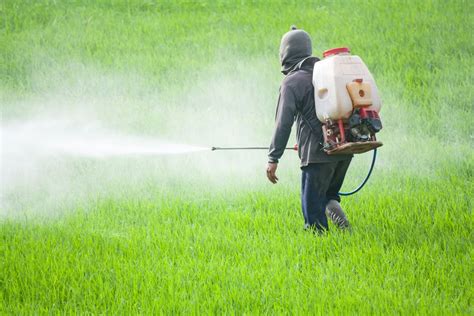 What Are Biopesticides? | Biochemical, Interesting science facts ...