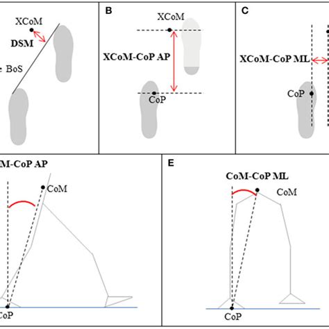 | The spatiotemporal gait parameters, gait stability measures and ...