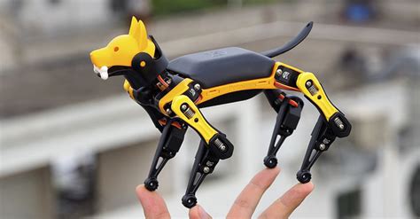 Meet Petoi Bittle: The Future of Robotic Pets | IE